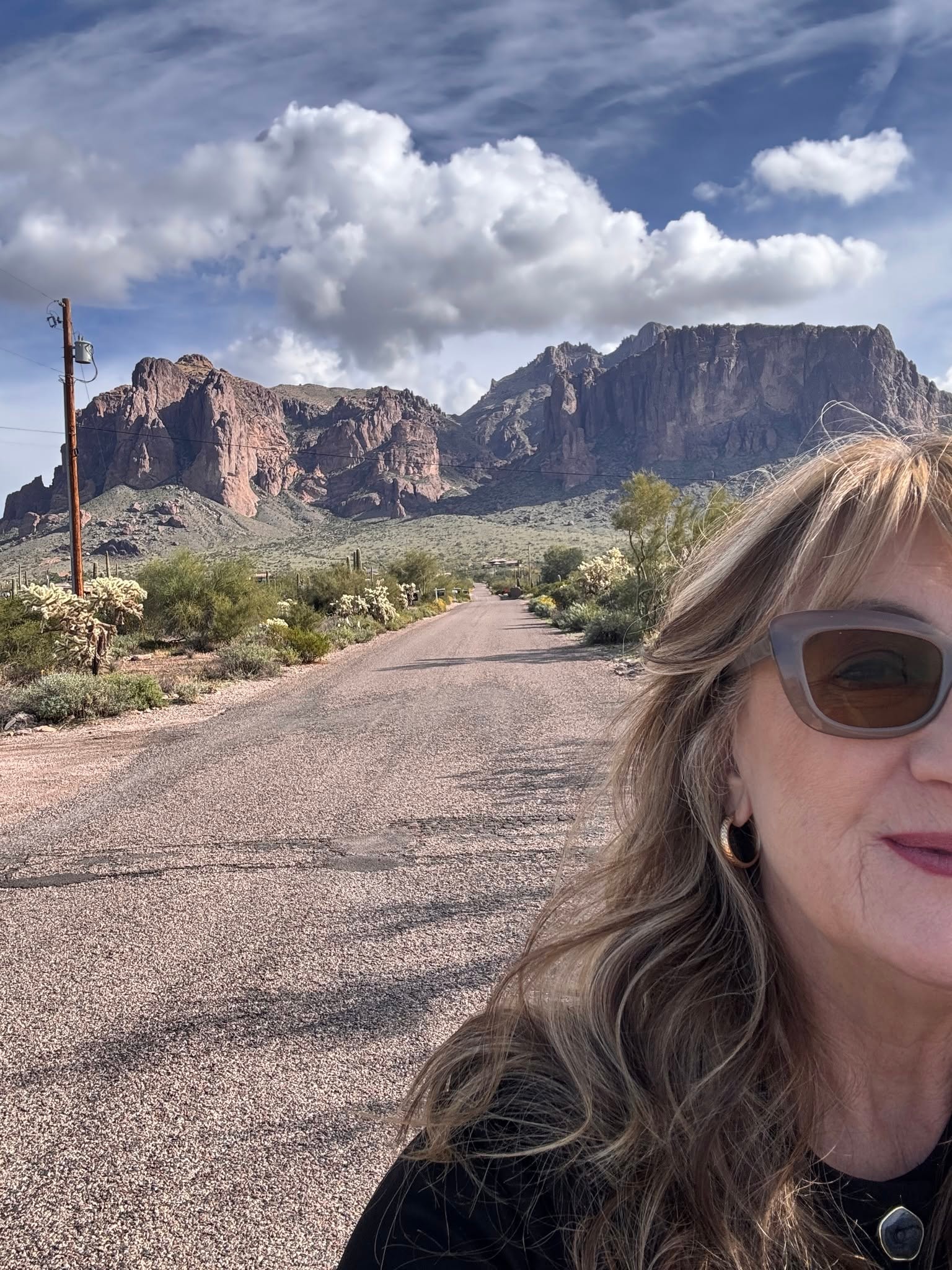 Michelle Shelton — Arizona horse property specialist, Superstition Mountains